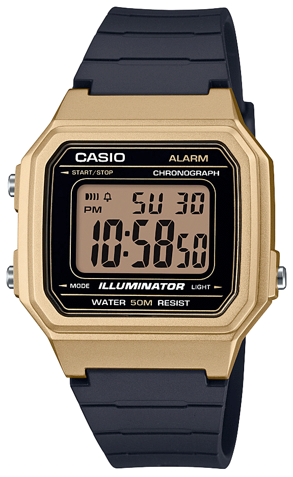  Casio RESIN METAL Gld/Blk W-217HM-9AVCF