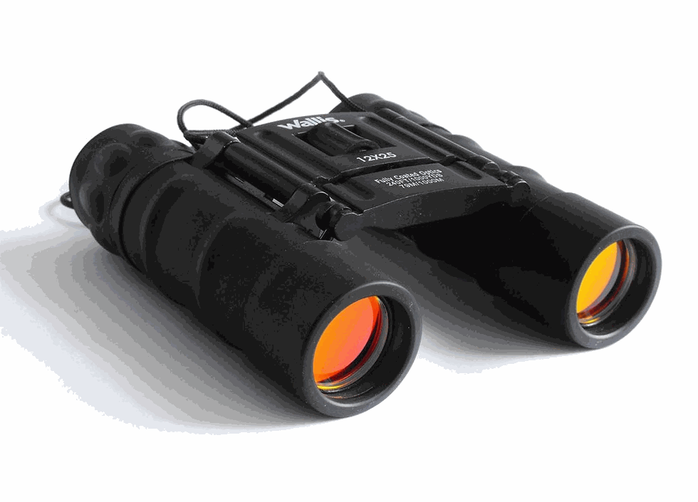 Binocular Wallis compacto BI610303