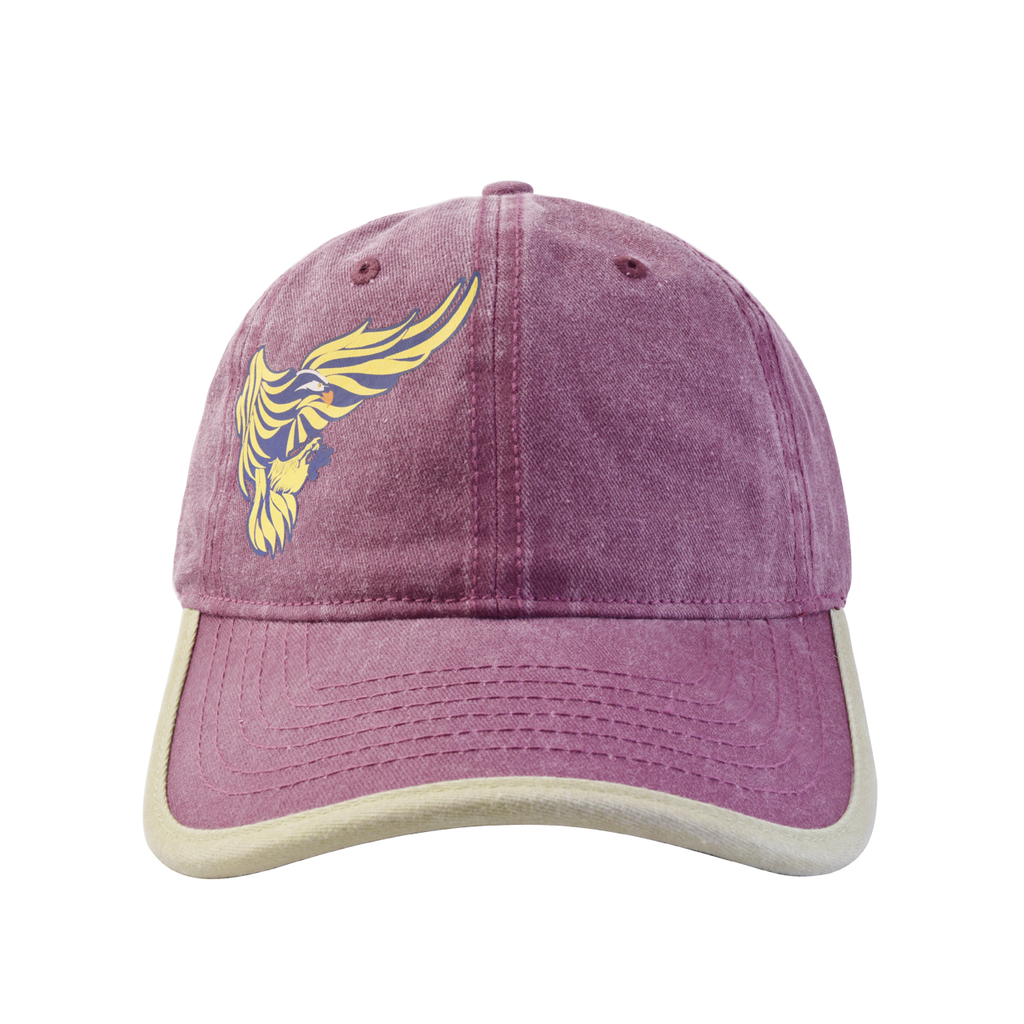 GORRA Wallis DESLAVADA AGULA EN VUELO C9201150