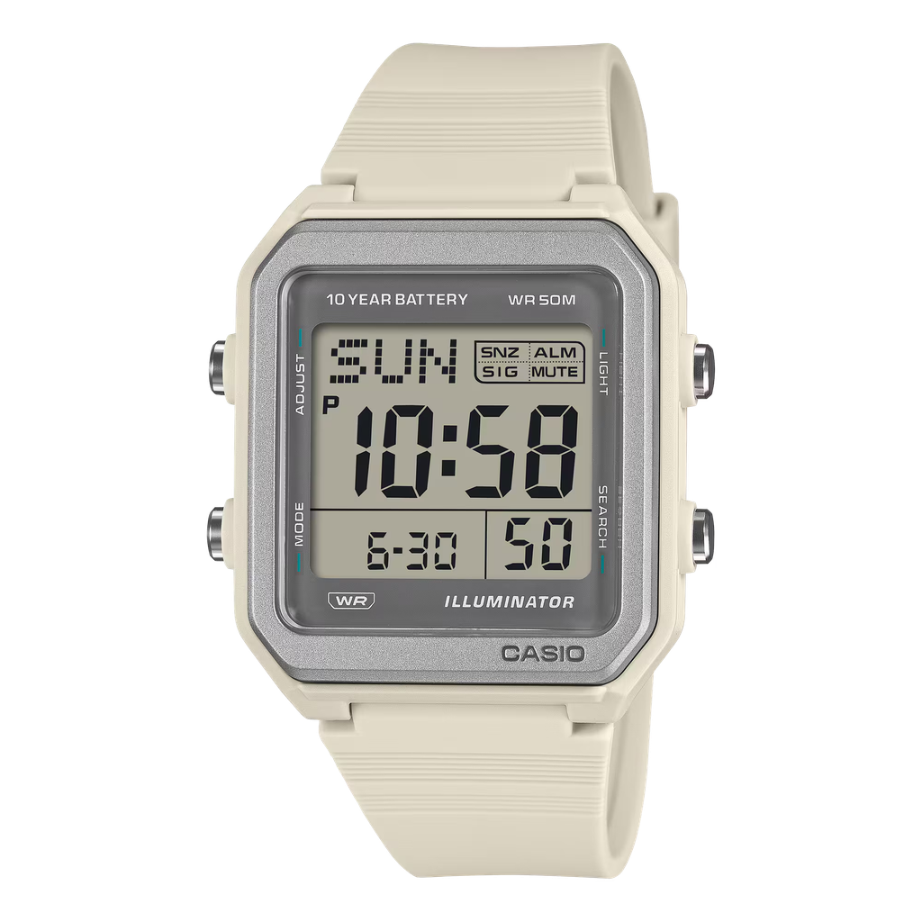 CASIO 10 YR DIGI RESIN LGRY W-221H-8AVCF