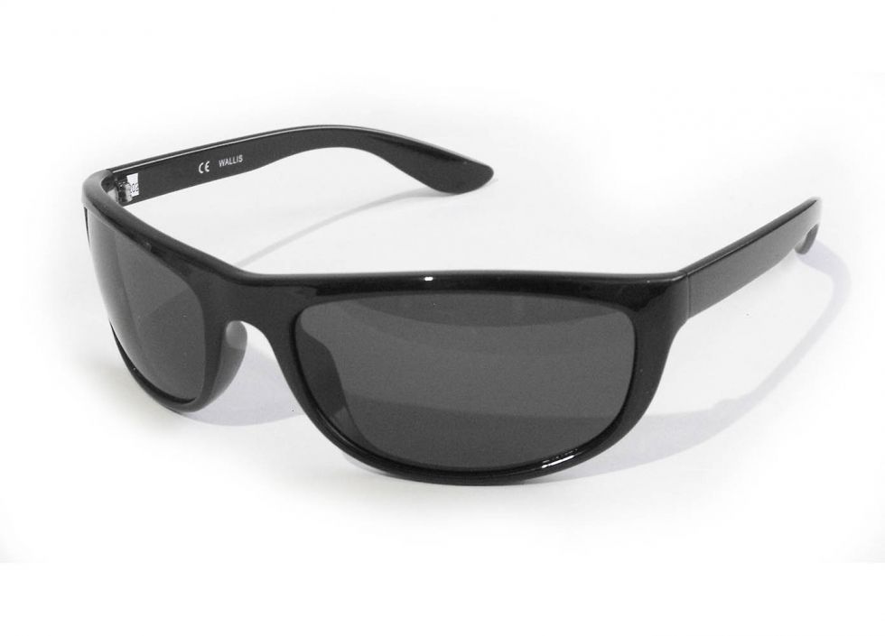 Lentes armazón negro, micas humo, Wallis