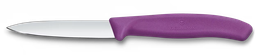 [6.7605.C1] Swiss Classic, paring knife, 8cm, straight, pointed tip, purple 6.7605.C1